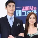 Who is Park Seo Joon’s Wife?