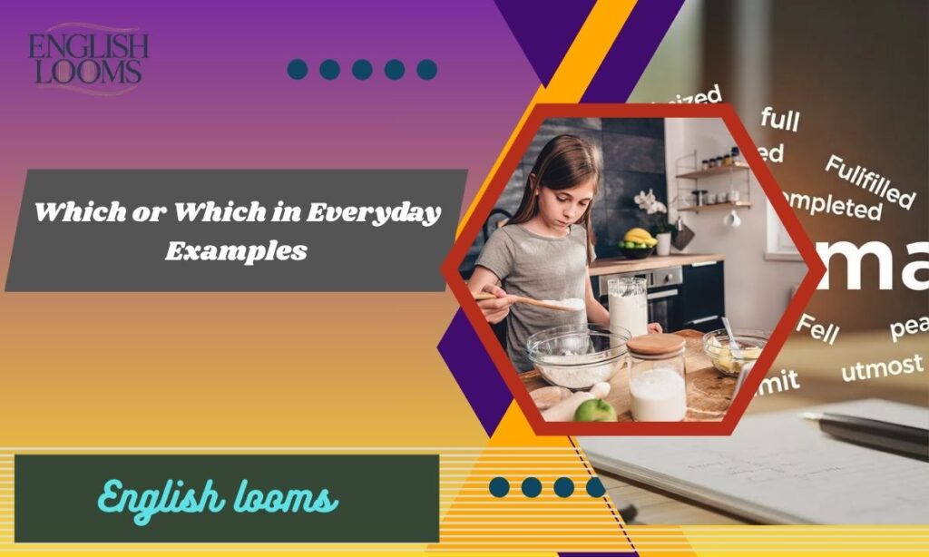 Which or Which in Everyday Examples